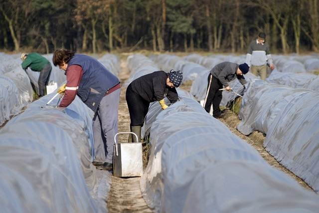 Trixxo Uitzendbureau Vacatures Voor Specialisten